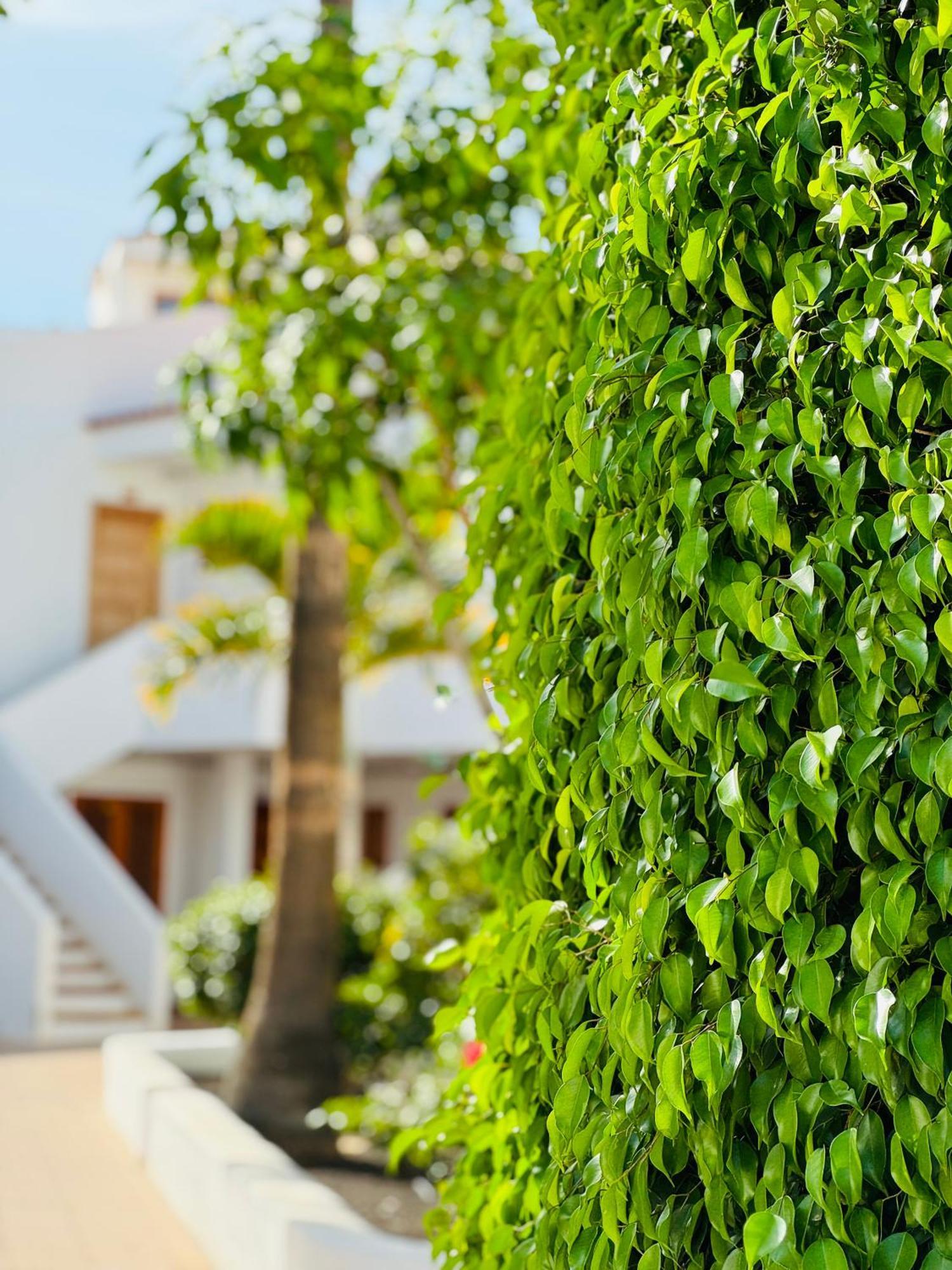 Garden City Private Apartment Costa Adeje Playa Fanabe Luaran gambar