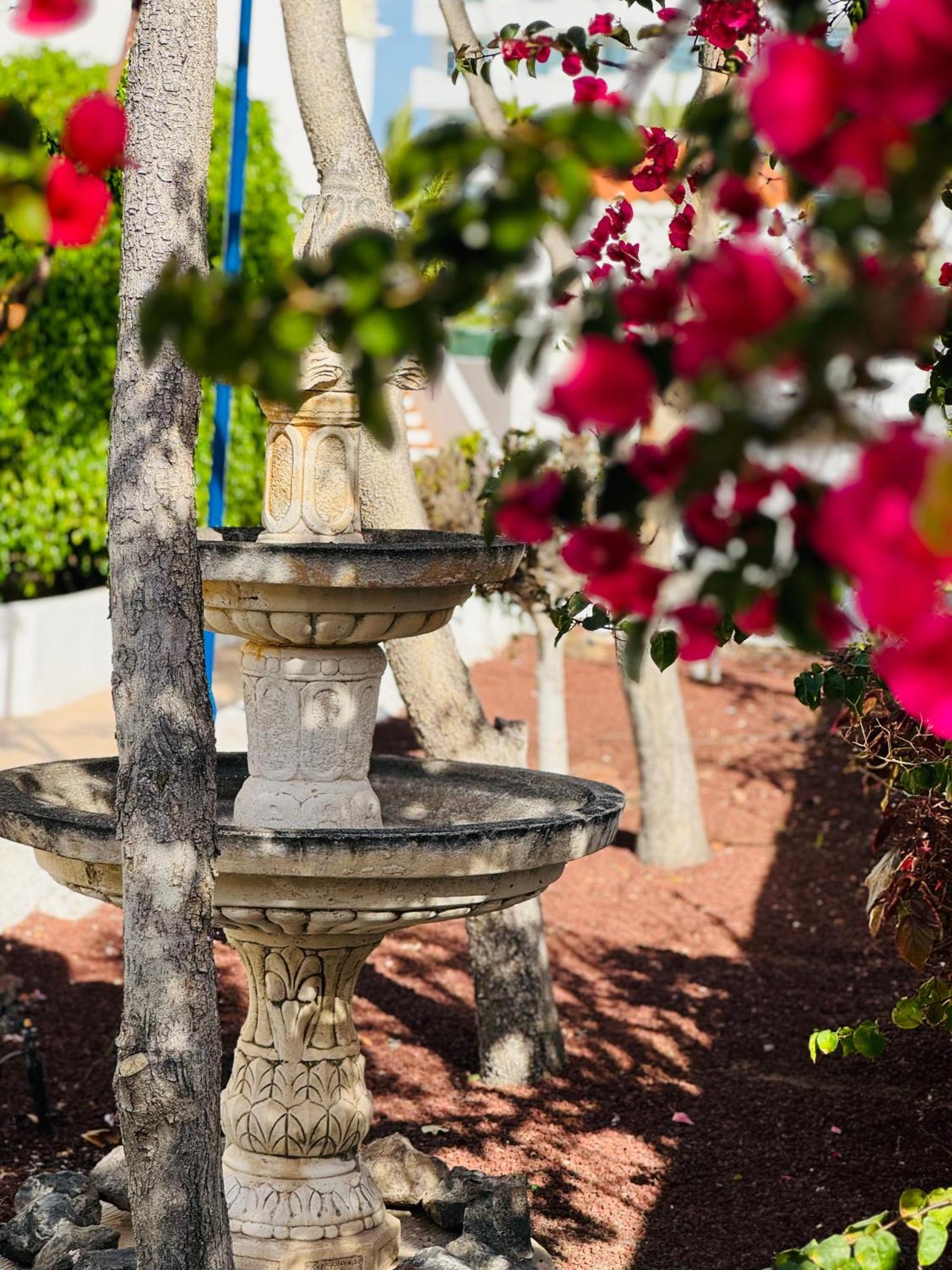 Garden City Private Apartment Costa Adeje Playa Fanabe Luaran gambar